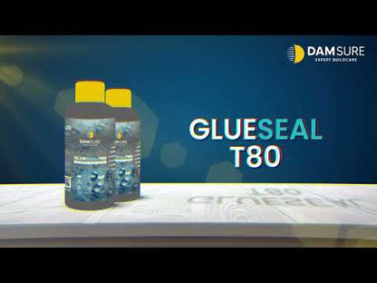 Damsure Glueseal-T80 (1 Kg) - The Transparent Acrylic Coating for Waterproofing and Repairs